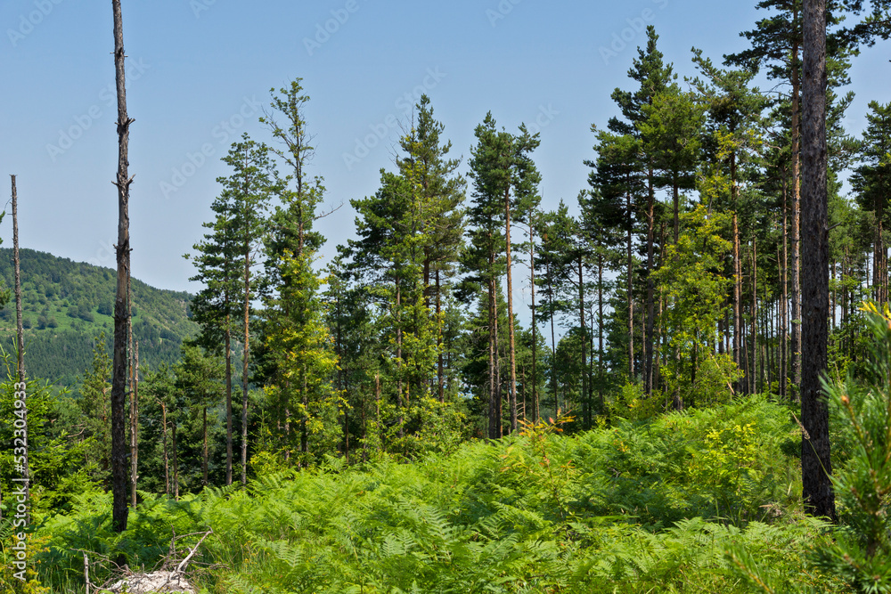 Ancient sanctuary Belintash at Rhodope Mountains, Bulgaria Ancient sanctuary Belintash at Rhodope Mountains, Bulgaria