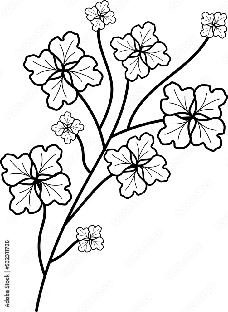 leaf illustration leaf illustration