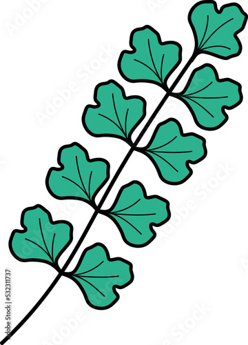leaf illustration