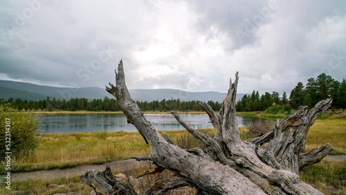 Timelapse looking through uprooted tree at West Greens Lake as storm clouds move through the sky near Flaming Gorge. photo