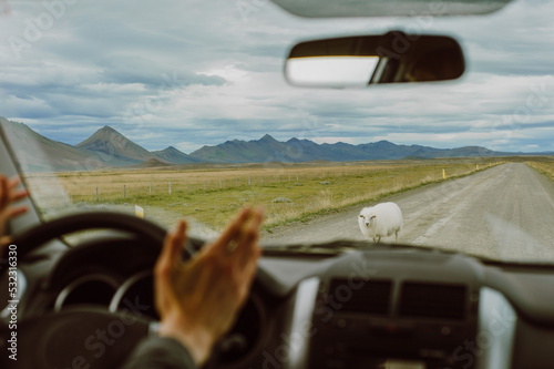 Iceland Road Trip photo