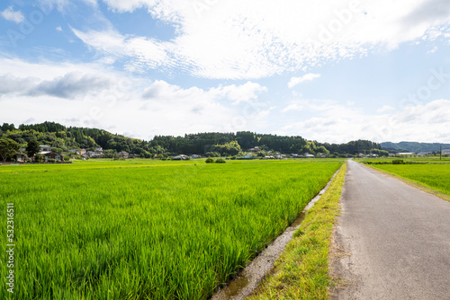 姶良市永瀬の田園地帯	