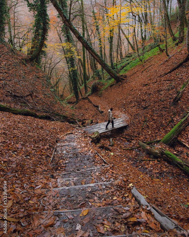 Man walking in the autumn forest Man walking in the autumn forest