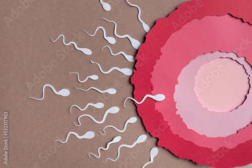Fecundation paper art illustration