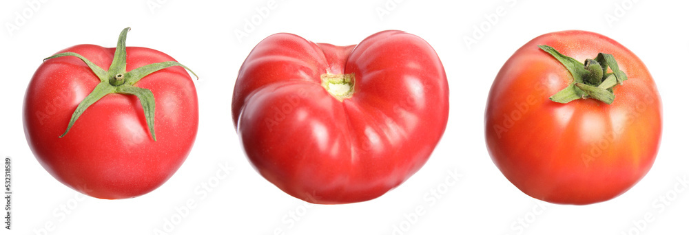 Fototapeta premium Set with different ripe tomatoes on white background. Banner design
