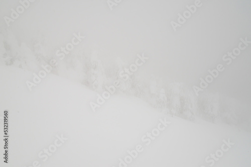 吹雪の吾妻山の景色・西吾妻山 © PICCOLOGEOGRAPHIC