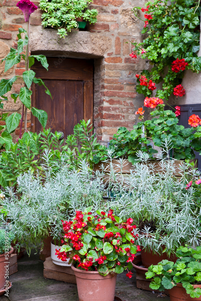 Italy, Tuscany, Pienza. Potted plants in the corner of a street in the town of Pienza.