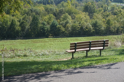 Bench Overlooking Green Valley and Tree Line on Sunny Summer Day