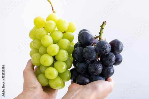 ぶどう　grape