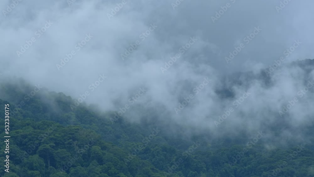 Time lapse of fluffy mist and cloud moving smoothly on a rainy day.