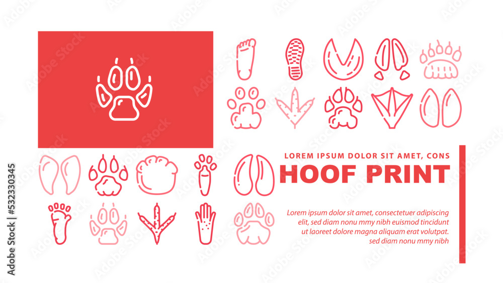 Hoof Print Animal, Bird And Human Shoe Set Vector. People Footprint And Elephant Hoof Print, Deer And Bear, Horse And Tiger, Chicken And Mouse. Mammal Sheep Paw Color Illustrations
