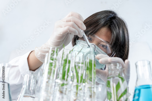 Sientist work with plant in test tubes in laboratory.