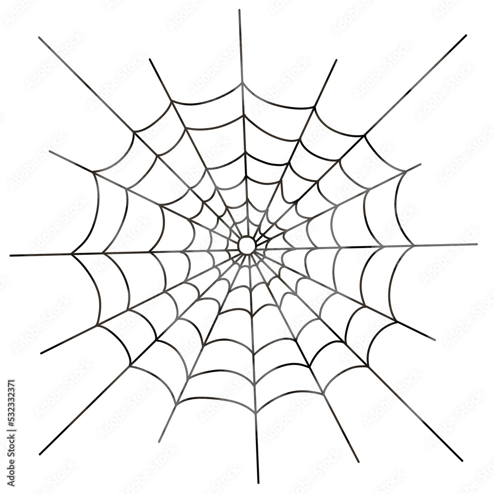 Fototapeta premium Spider web silhouette. Illustration isolated on a white background.