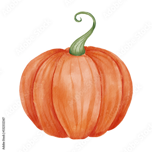 Pumpkin. Watercolor isolated illustration.