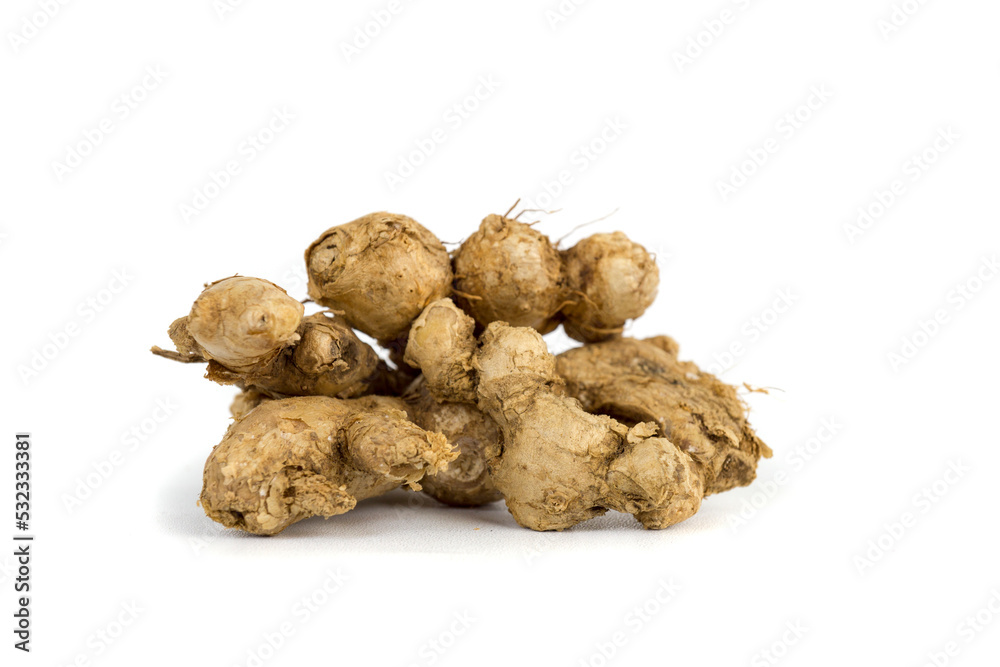 Ginger, a plant whose rhizomes are often used as a spice and as a raw