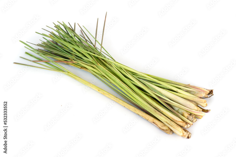 fresh lemongrass leaf isolated on white background. fresh lemongrass leaf isolated on white background.
