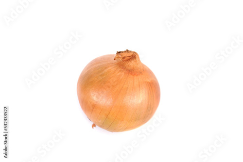 Wallpaper Mural Onion, which has the scientific name Allium Cepa Linnaeus. Torontodigital.ca