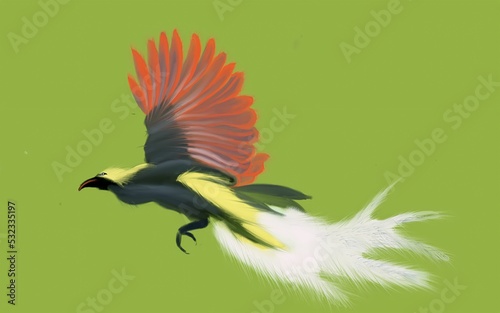 Indonesian native bird of paradise 