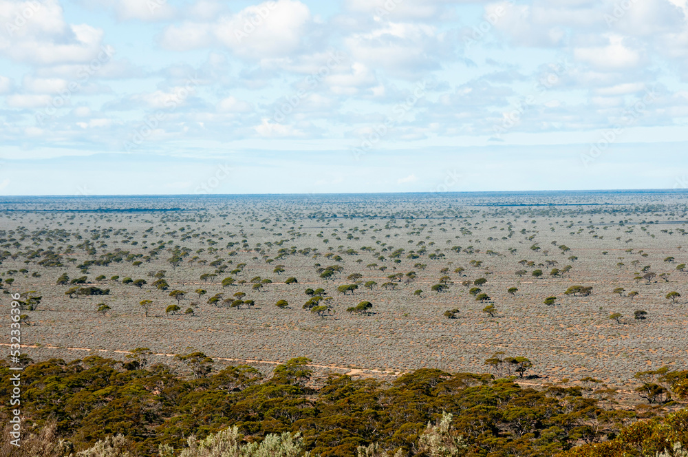 Madura Pass Lookout - Western Australia