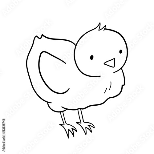 Cute easter outline chick character isolated on white background. Baby vector line illustration with farm bird for coloring book