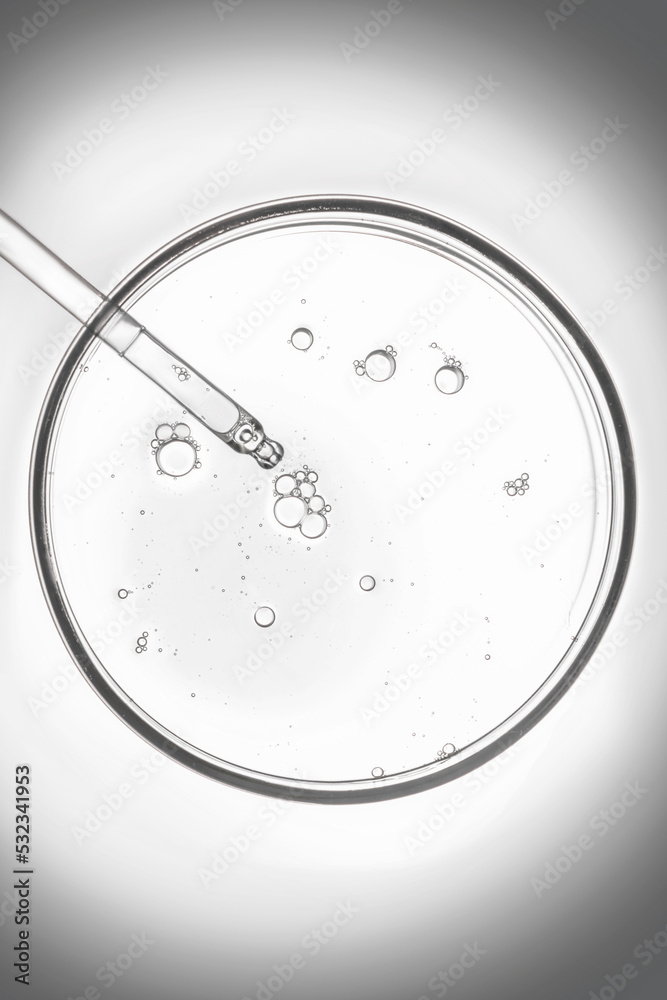 Petri dish with pipette in a black and white colored. Petri dish with pipette in a black and white colored.