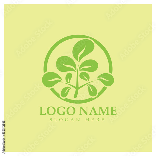 green moringa leaf logo  for herbal ingredients  moringa farming  health  medicine industry  beauty  therapy  concept design vector illustration icon template with a modern concept