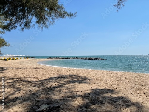 beach with palm trees