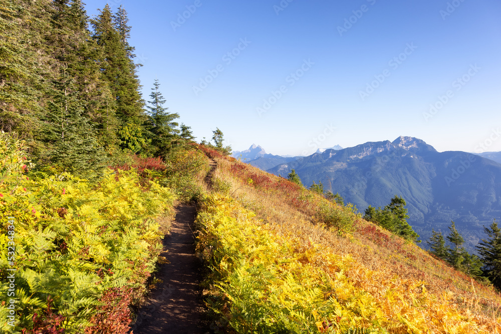 Canadian Landscape with Fall Colors during sunny day. Elk Mountain, Chilliwack, East of Vancouver, British Columbia, Canada. Nature Background.