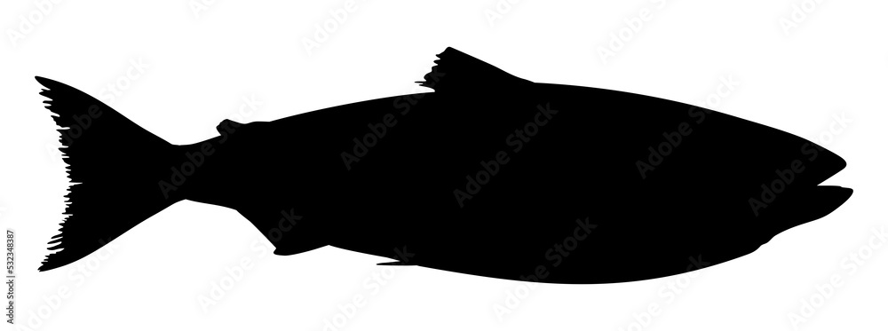 Salmon Fish Silhouette for Icon, Symbol, Logo, Pictogram, Apps, Website or Graphic Design Element. Format PNG Salmon Fish Silhouette for Icon, Symbol, Logo, Pictogram, Apps, Website or Graphic Design Element. Format PNG