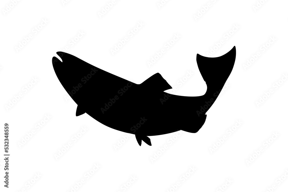 Salmon Fish Silhouette