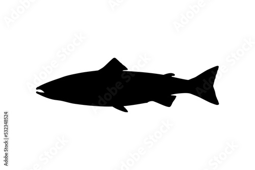 Salmon Fish Silhouette for Icon  Symbol  Logo  Pictogram  Apps  Website or Graphic Design Element. Vector Illustration