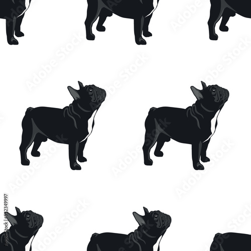 Vector seamless pattern: cute black french bulldogs on white. Design with animals, pets for textil, wrapping paper, wallpaper.