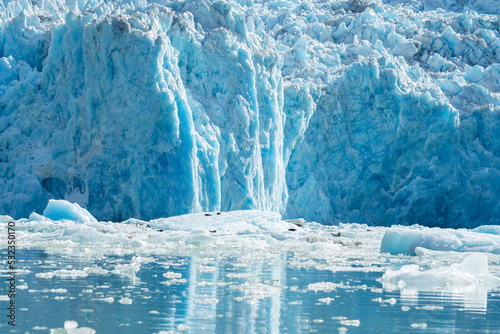 Tidewater glacier in South East Alaska