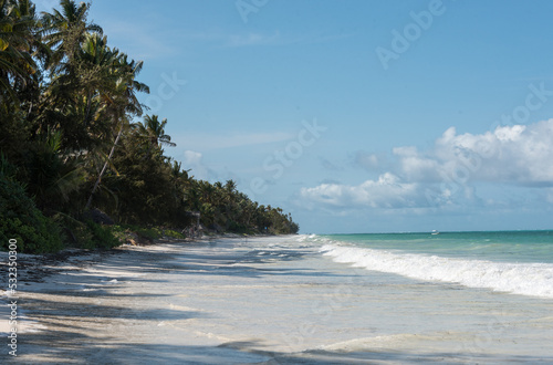 East coast of Zanzibar. Beach with coconut palm trees.