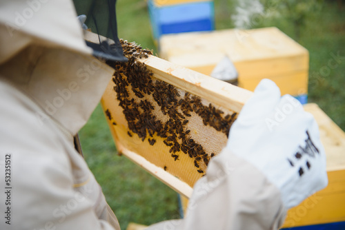 Beekeeping, beekeeper at work, bees in flight.