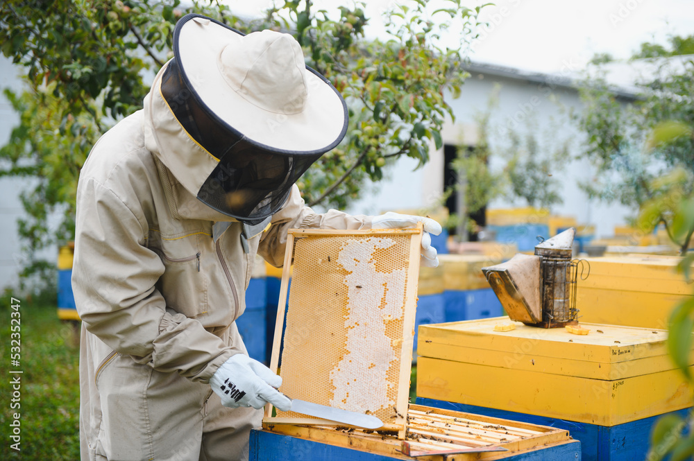 Beekeeper working collect honey. Beekeeping concept. Beekeeper working collect honey. Beekeeping concept.