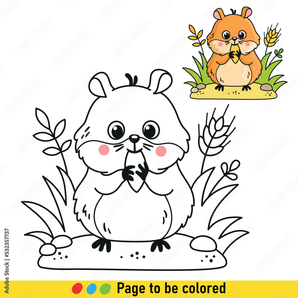 Coloring book with hamster in cartoon style. Black and white illustration with pet animals.