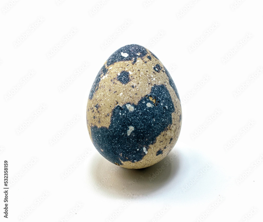 isolated quail eggs on a white background isolated quail eggs on a white background