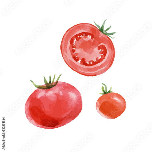 Beautiful vector stock clip art illustration set with hand drawn watercolor tasty red tomato vegetable. Healthy vegan food.