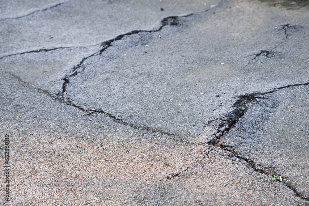 Obraz premium Asphalt road damaged by tree roots