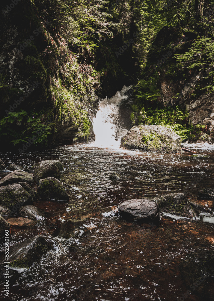 Fototapeta premium Ravennaschlucht im Schwarzwald Deutschland