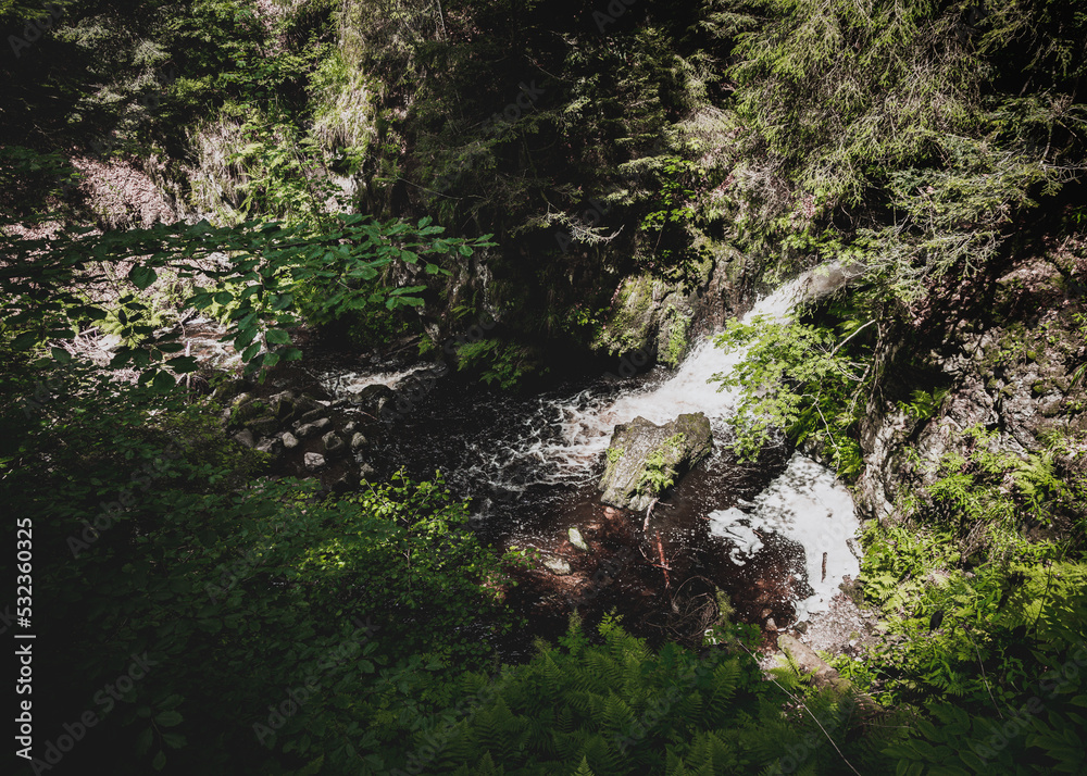 Ravennaschlucht im Schwarzwald Deutschland Ravennaschlucht im Schwarzwald Deutschland