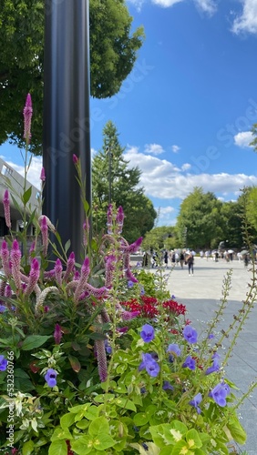 The florals on the street of Tokyo, the wild combination of the colorful display of nature year 2022 Ueno station Tokyo Japan