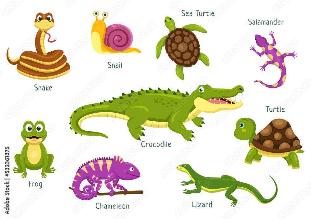 Fototapeta premium Set of Animal Reptile Template Hand Drawn Cartoon Flat Illustration with Various Types of Reptiles Animals Concept
