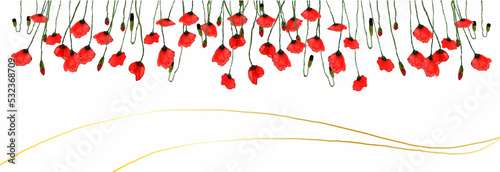 Background with the image of red poppy flowers, Background with red flowers.