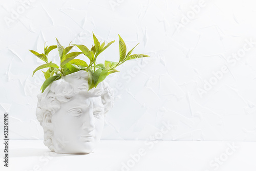 Idea and brainstorming abstract concept with image of creativity process as wreath of spring green leaves around head of white thinking statue David. Idea of thinking, research solution, copy space. photo