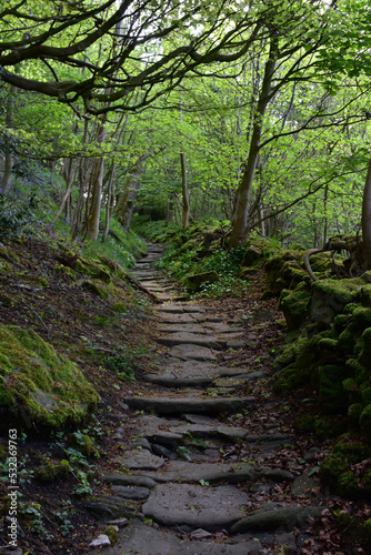 Fototapeta Naklejka Na Ścianę i Meble -  Rock Nun Steps Winding Through the Woodlands