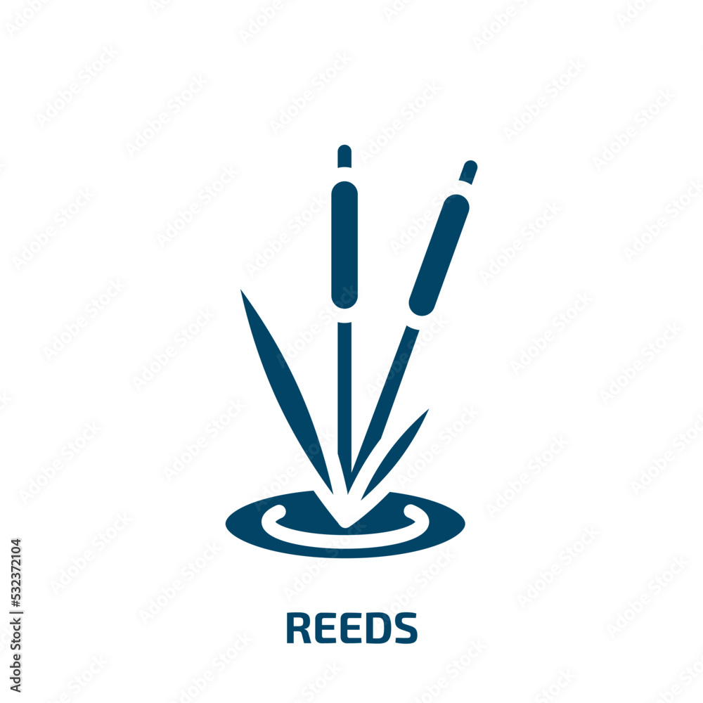 reeds icon from nature collection. Filled reeds, reed, flora glyph icons isolated on white background. Black vector reeds sign, symbol for web design and mobile apps reeds icon from nature collection. Filled reeds, reed, flora glyph icons isolated on white background. Black vector reeds sign, symbol for web design and mobile apps