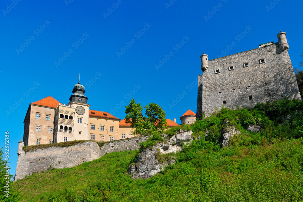 Pieskowa Skala - limestone cliff and renaissance castle near Soluszowa village, Lesser Polan Voivodeship.