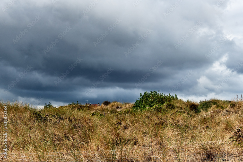 marram grass on dunes and storm clouds at Malo-Les-Bains beach in Dunkirk, france